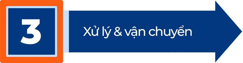 Quy trình làm việc